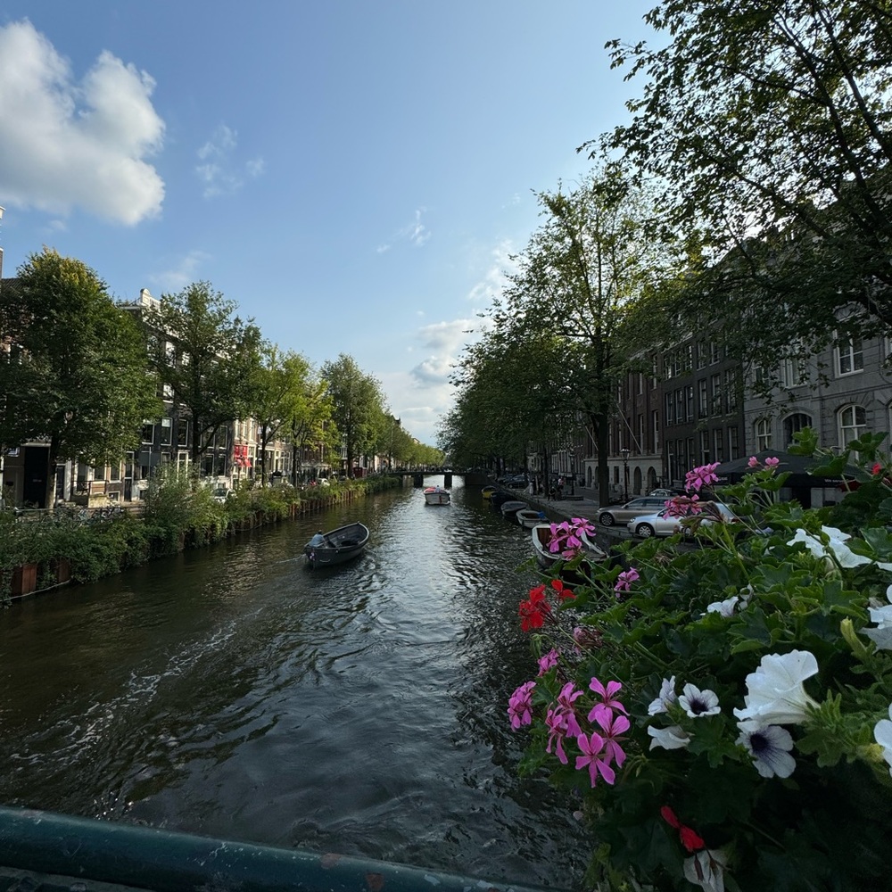 Meet your Posher, Sydnie